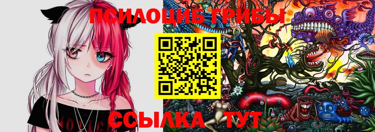 Галлюциногенные грибы GOLDEN TEACHER Светлоград